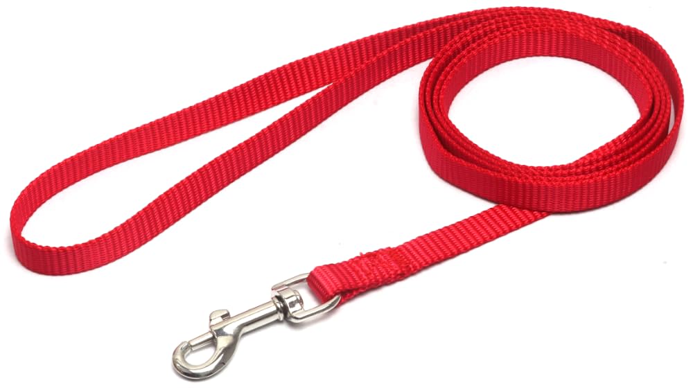 Amazon | オーディオファン 犬 リード 小型犬 シンプル 1.2m 短め